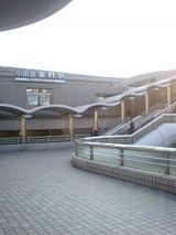 24612-2.jpg