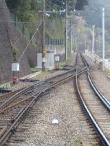 24641.jpg