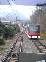 24647.jpg