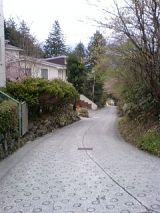 24648-4.jpg