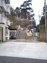 24649-1.jpg