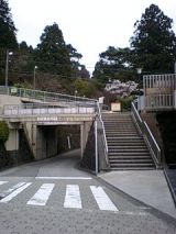 24651-1.jpg