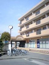 24671-2.jpg