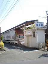 24672-2.jpg