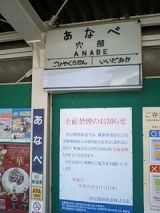 24676-1.jpg