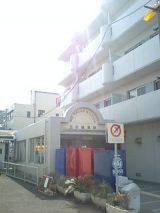 24678-2.jpg