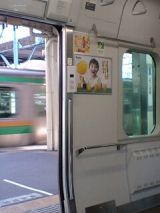 24686.jpg