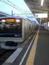 24694-1.jpg