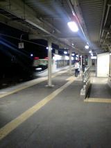 24698.jpg