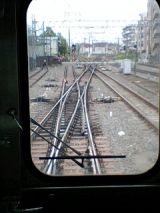 24725.jpg