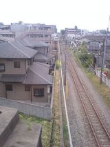 24733.jpg