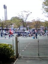 24738-1.jpg