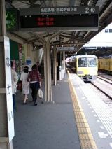 24747.jpg