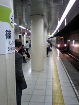 24768.jpg