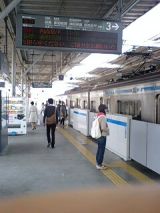 24802.jpg
