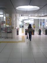 24812-1.jpg