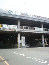 24813-3.jpg