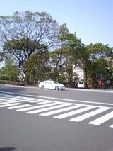 24818-3.jpg