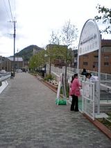 24864-2.jpg