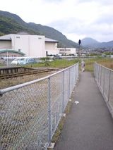 24868-1.jpg