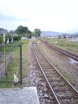 24871-1.jpg