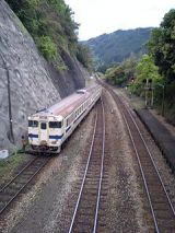 24876.jpg