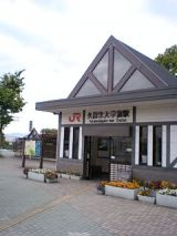 24881-2.jpg