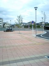 24883-3.jpg