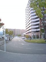 24886-2.jpg