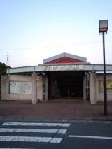24888-3.jpg