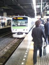 24902.jpg