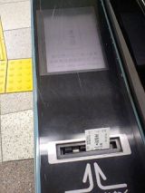 24916-1.jpg