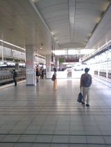 24918-1.jpg