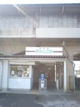 24934-3.jpg
