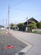 24934-4.jpg