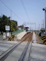 24950-1.jpg