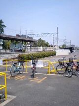 24953-1.jpg