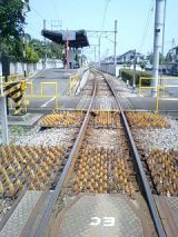 24953-3.jpg