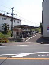24956-1.jpg