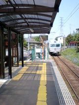24956.jpg