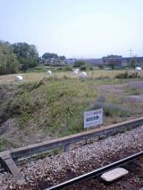 24957-3.jpg