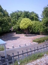 24957-4.jpg