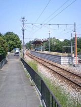 24957.jpg