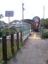 24965-1.jpg