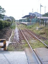 24965-2.jpg