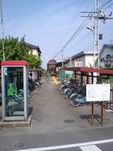 24967-1.jpg