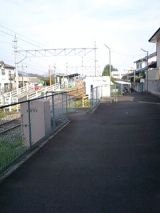 24977-3.jpg
