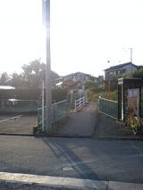 24981-1.jpg