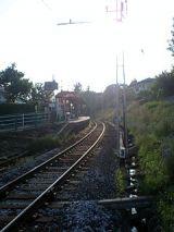 24981-2.jpg