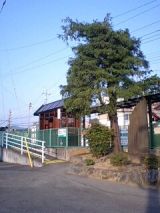 24983-1.jpg